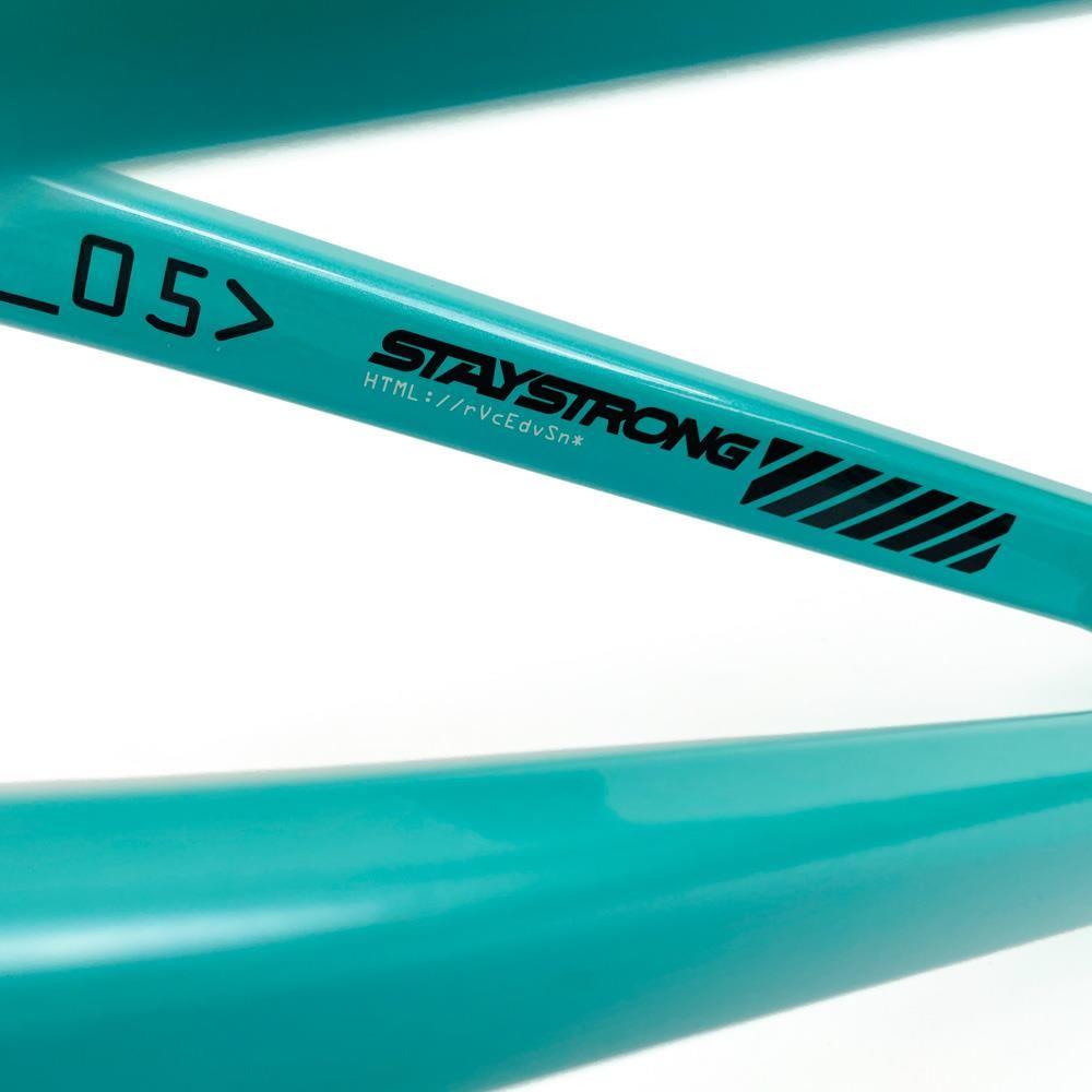 Stay Strong For Life 2024 V5 Expert XL Race Frame - Disc version