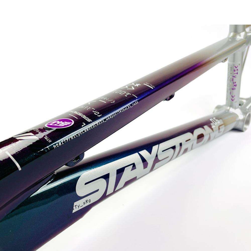 Stay Strong For Life 2024 V5 Expert Race Frame - Disc Frame