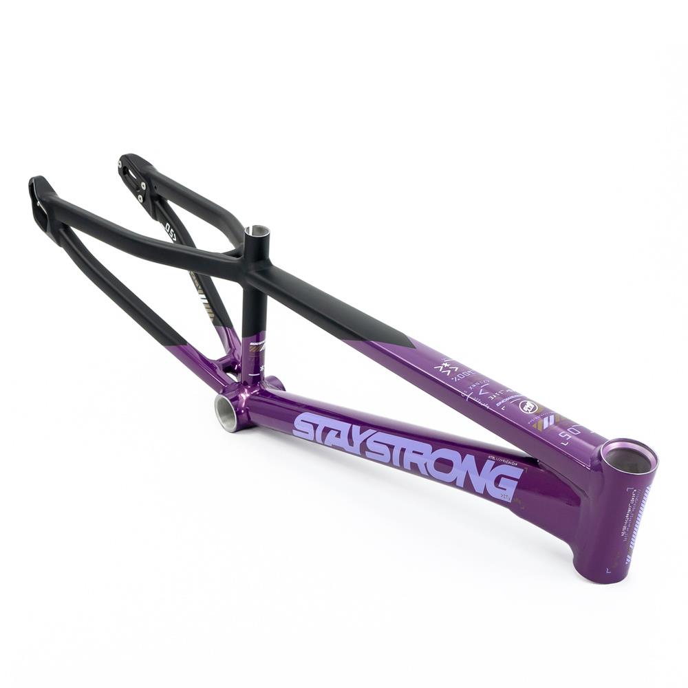 Stay Strong For Life V5 Cruiser Expert XL Frame 2025 Source BMX