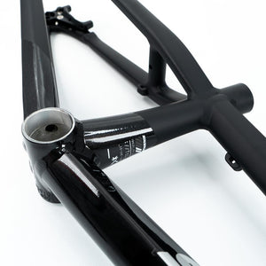 Stay Strong For Life V5 Pro XXXL Frame 2025