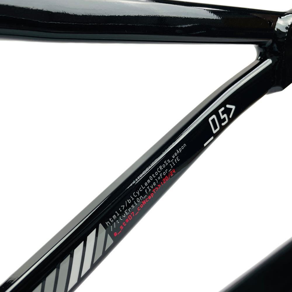 Stay Strong For Life 2024 V5 Expert Race Frame - Disc Frame