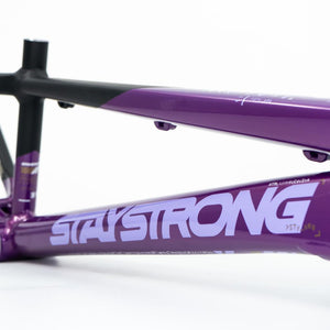 Stay Strong For Life V5 Expert Frame 2025