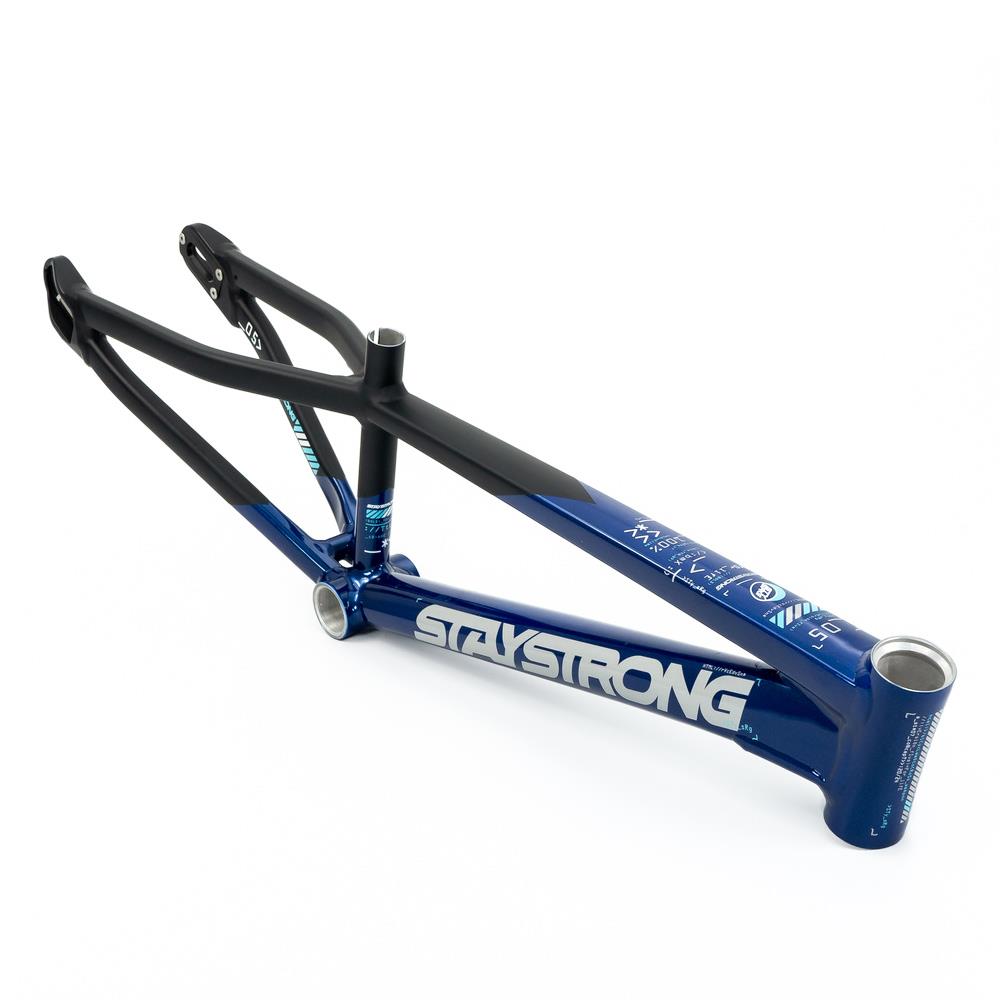 Stay Strong For Life V5 Expert Frame 2025