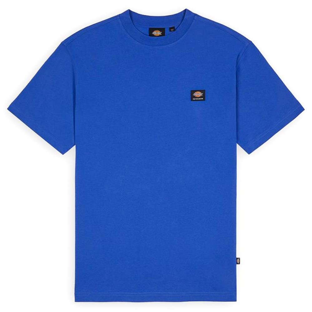 Dickies Mount Vista T-Shirt - Satin Sky