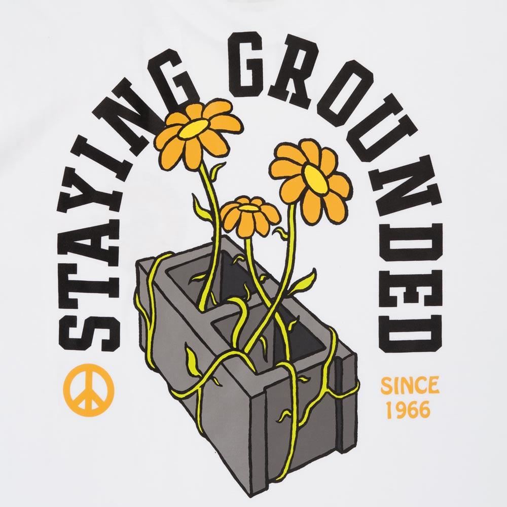 Vans Staying Grounded T-Shirt - White/Black