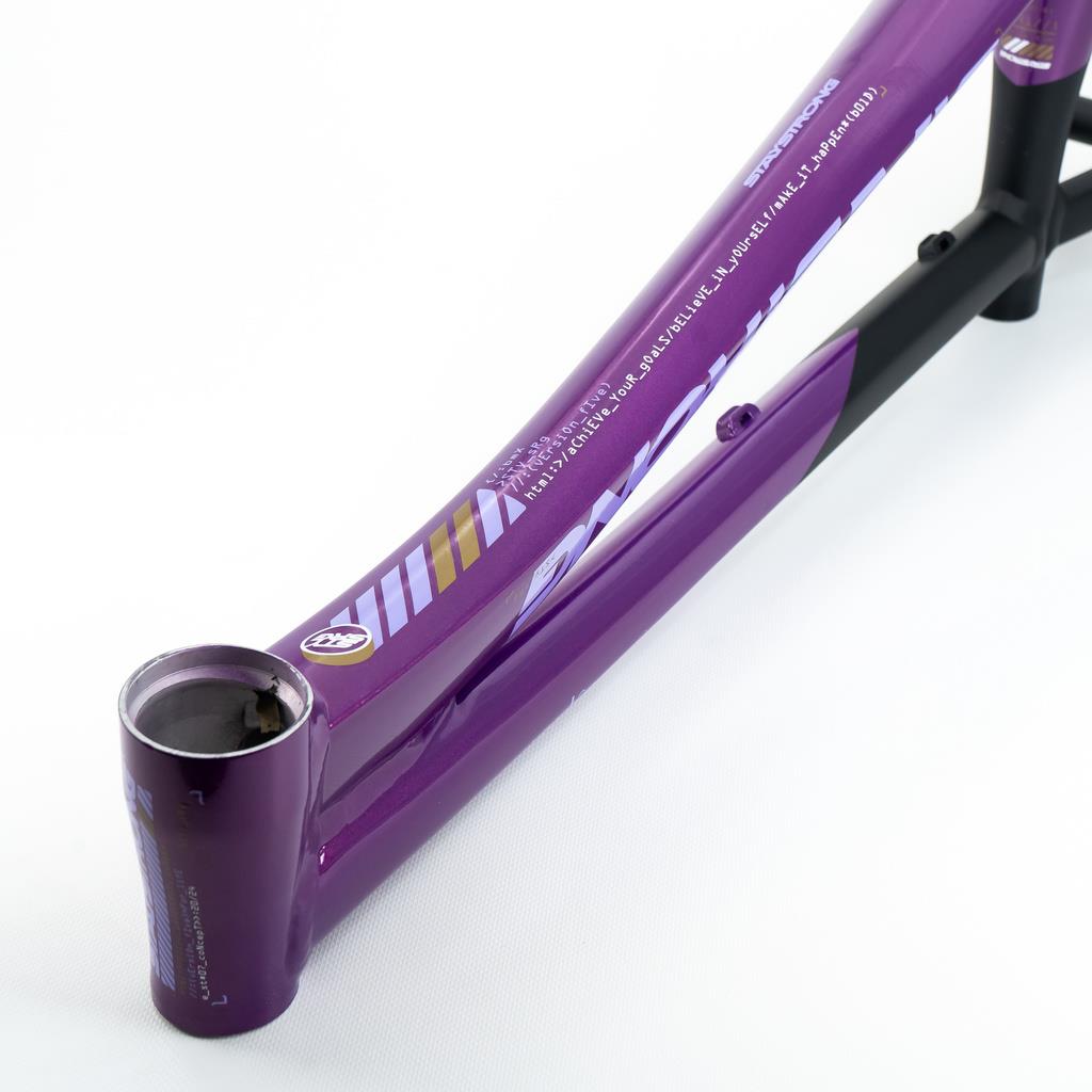 Stay Strong For Life V5 Pro XXXXL Frame 2025