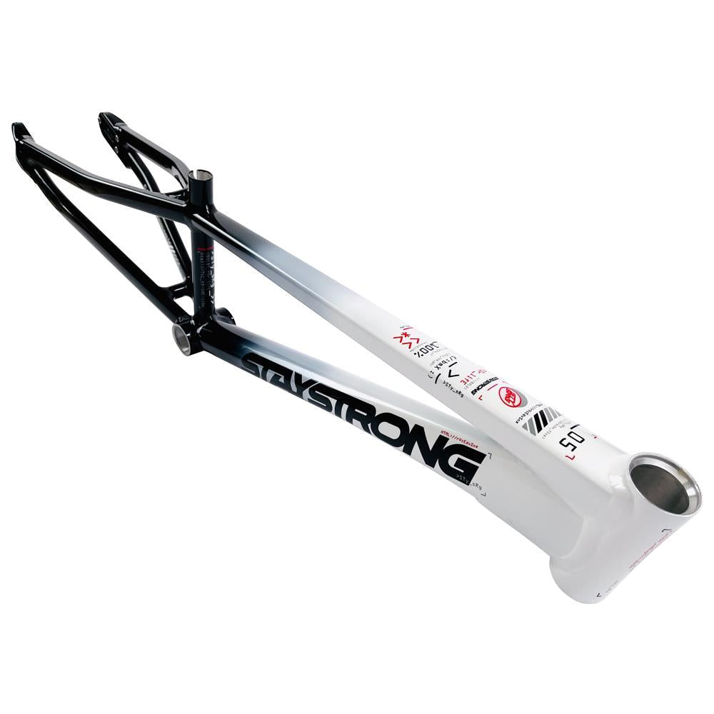 Stay Strong For Life 2024 V5 Expert Race Frame - Disc Frame