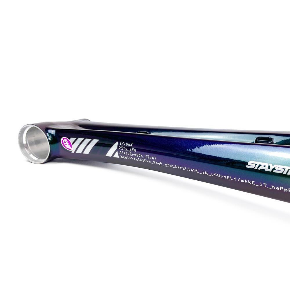 Stay Strong For Life 2024 V5 Pro Race Frame - Disc Version