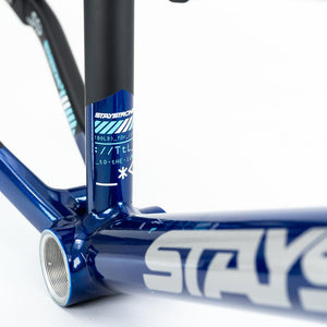 Stay Strong For Life V5 Mini Frame 2025