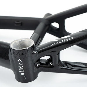 Stay Strong For Life V5 Mini Frame 2025