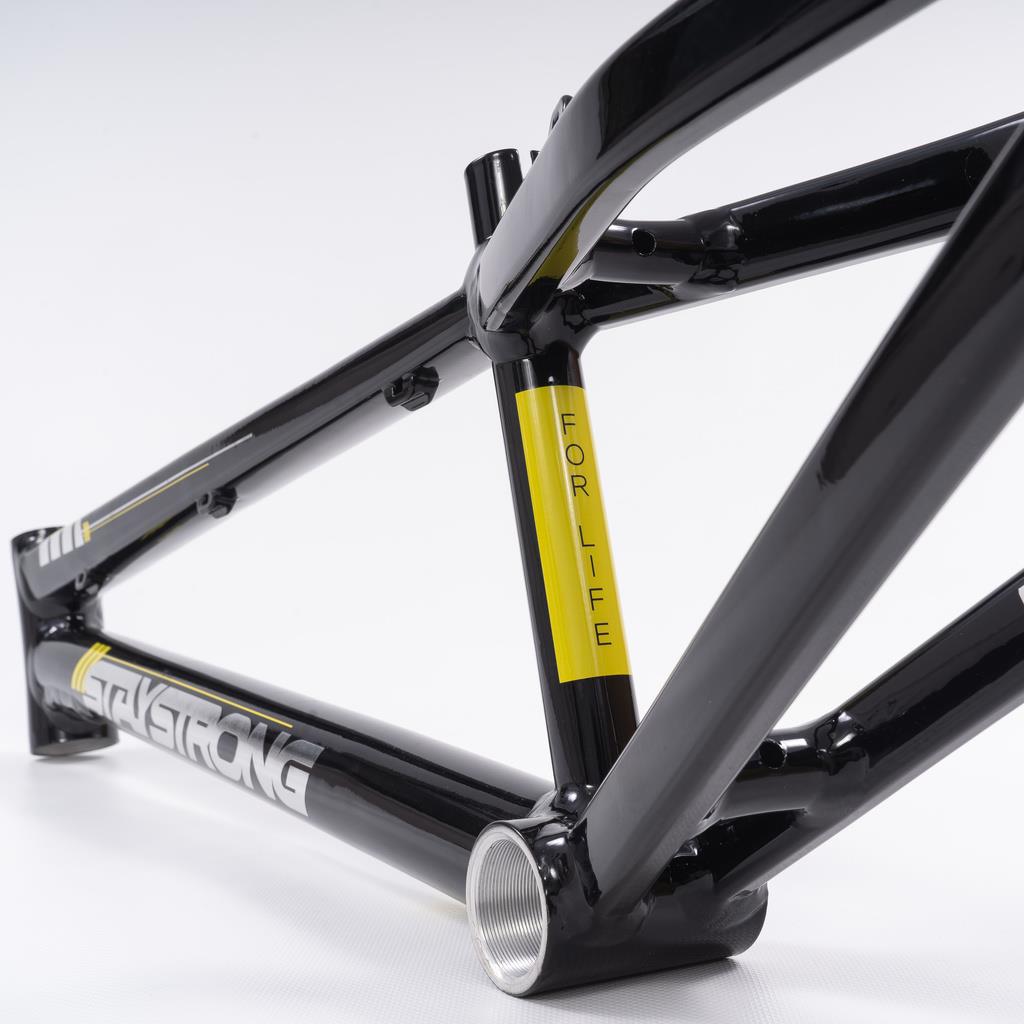 Stay Strong For Life 2023 V4 Mini Race Frame - Disc Version