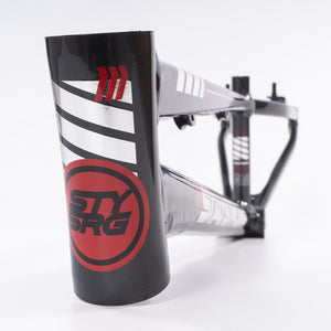 Stay Strong For Life 2023 V4 Expert XL Race Frame