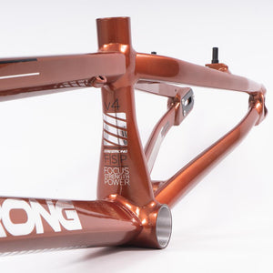 Stay Strong For Life 2023 V4 Cruiser Race Frame