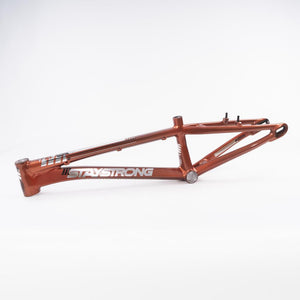 Stay Strong For Life 2023 V4 Cruiser Race Frame