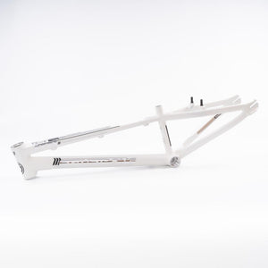 Stay Strong For Life 2023 V4 Expert XL Race Frame