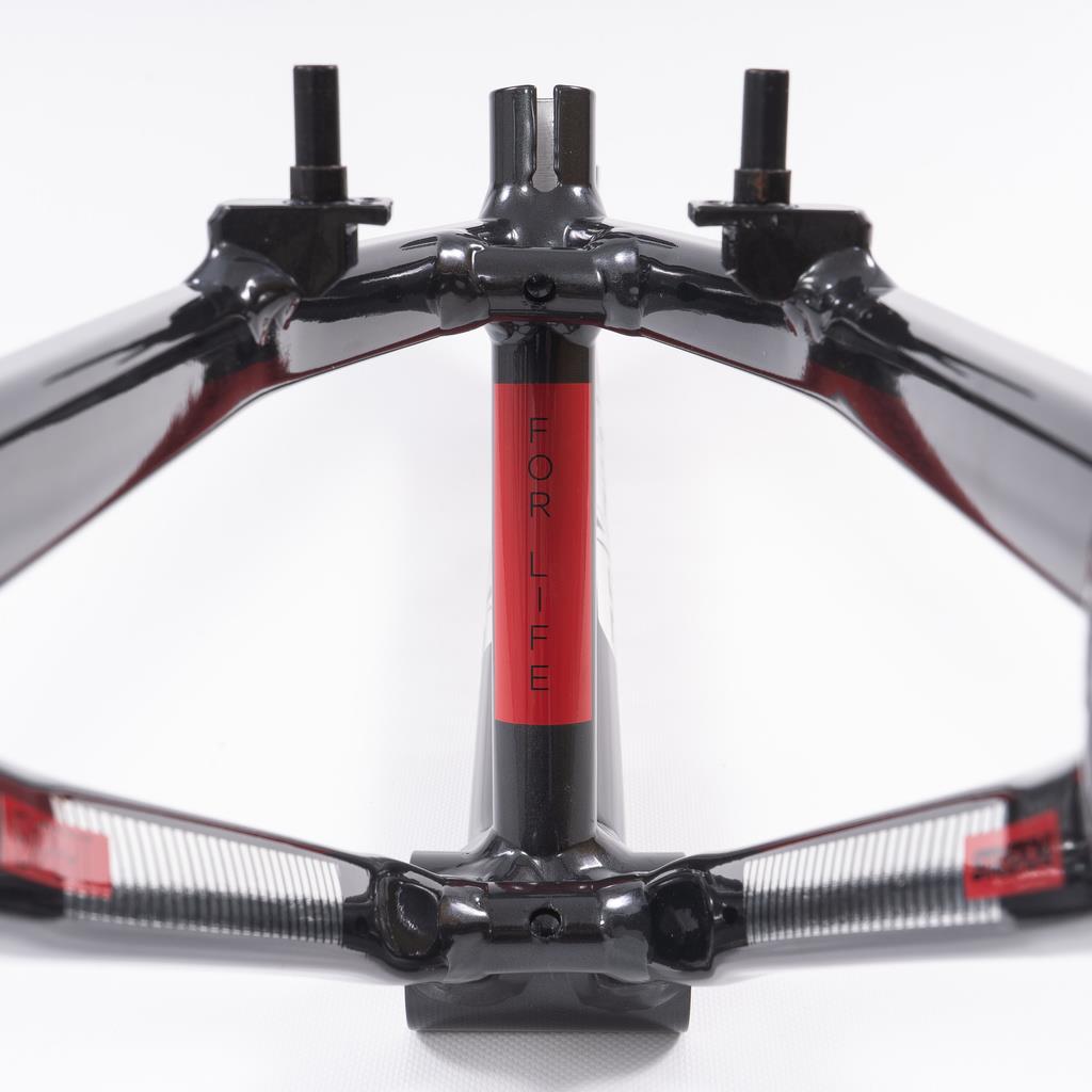 Stay Strong For Life 2023 V4 Expert XL Race Frame