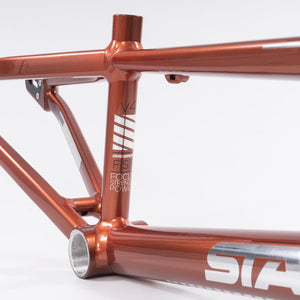 Stay Strong For Life 2023 V4 Mini Race Frame - Disc Version