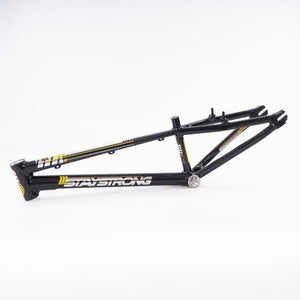 Stay Strong For Life 2023 V4 Expert XL Race Frame