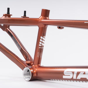 Stay Strong For Life 2023 V4 Mini Race Frame