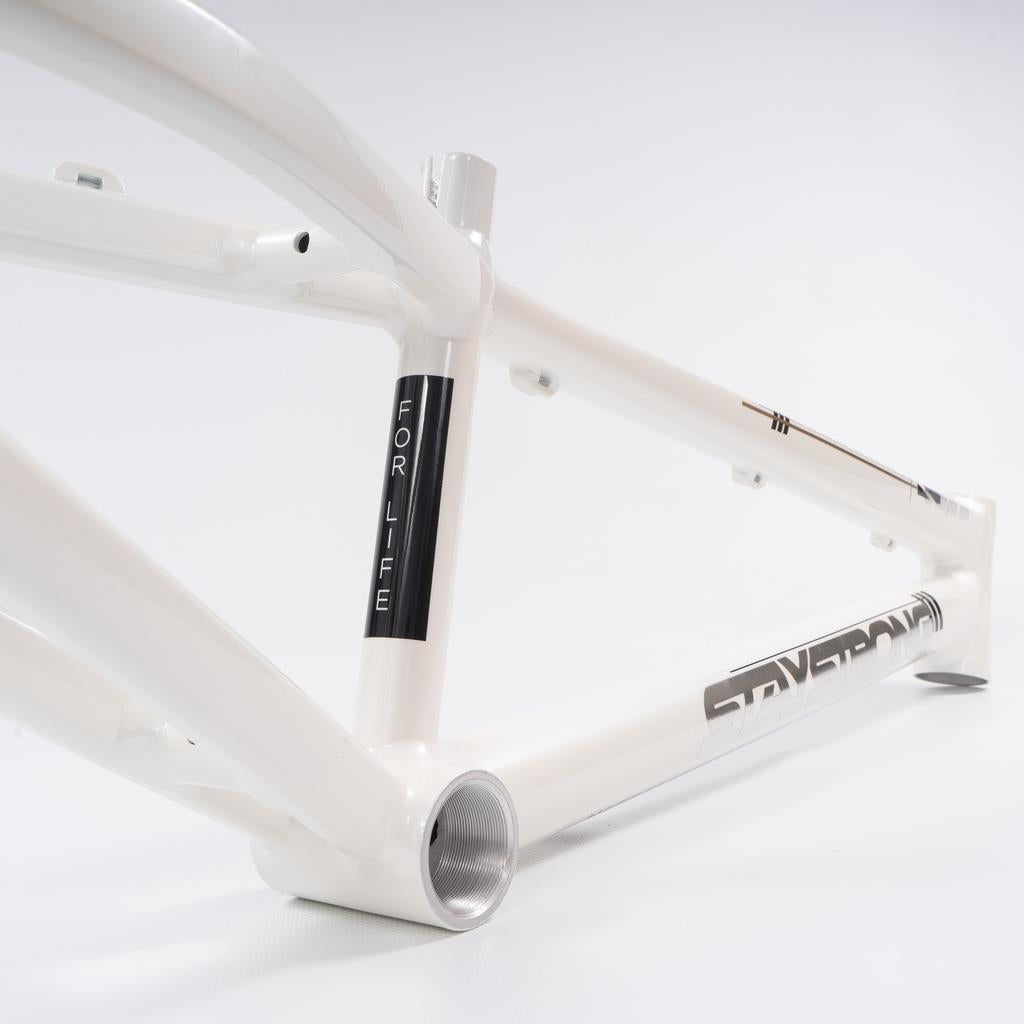 Stay Strong For Life 2023 V4 Mini Race Frame - Disc Version